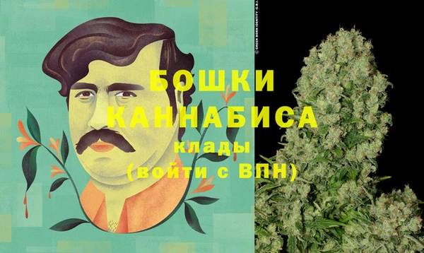 винт Абаза