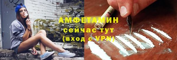 винт Абаза