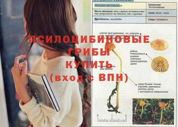 индика Алзамай